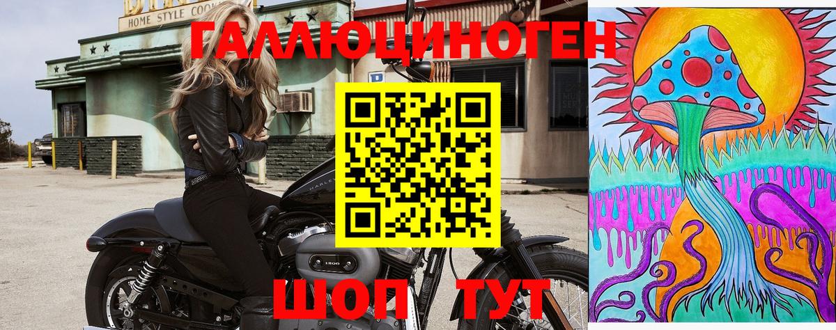 Старая Русса  Псилоцибиновые грибы Psilocybine cubensis  Вход с VPN 
