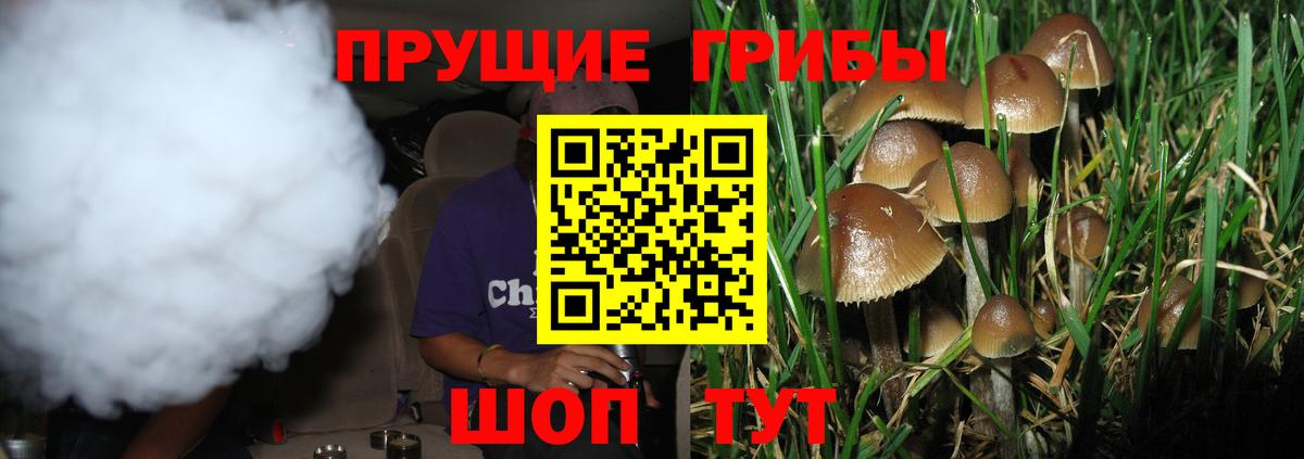Псилоцибиновые грибы ЛСД Старая Русса